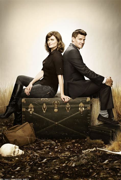 bones season 4|bones season 6.